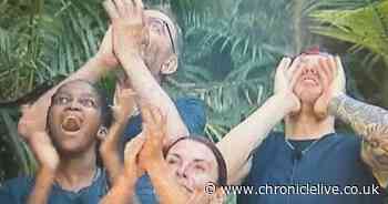 ITV's I'm A Celebrity final a 'two horse' race as odds predict head-to-head battle