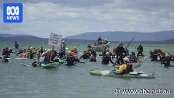Dutton backs salmon farming even if threatened species status worsens
