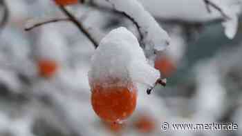 "Zünglein an der Waage": Fachmann alarmiert über unvorhersehbares Wetter-Phänomen