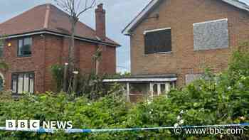 Teen hit by falling tree died from head injuries