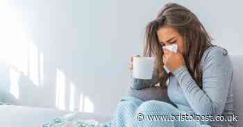 Four habits to start today to improve immune system and keep illness at bay