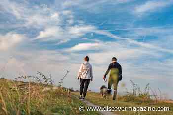 Light Exercise Can Yield Significant Cognitive Benefits