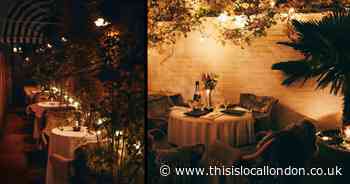 French bistro's new winter garden serves up a big warm hug