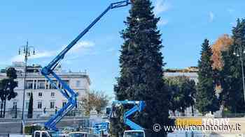 Festa dell'Immacolata: strade chiuse, mercatini natalizi, accensione dell'albero. Tutto quello che c'è da sapere