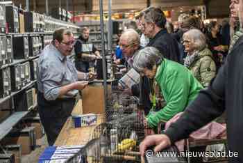 Dertigste Gouden Ring Show ongezien succes: “Ook uit het buitenland vinden liefhebbers de weg naar de Expo Hallen”
