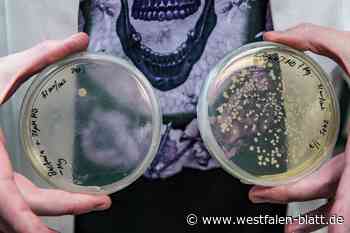 Wissenschaftler kämpfen mit DNA-Origami gegen multiresistente Keime