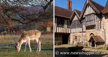 Kent town with historic deer park named one of happiest places to live