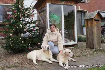 Herdenkingsboom van Kathy voor gestorven huisdieren krijgt veel positieve reacties “Voor veel dierenliefhebbers is hun huisdier een volwaardig familielid”