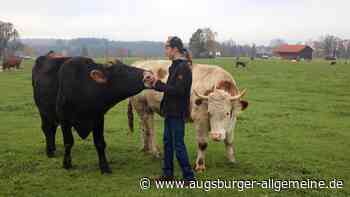 Warum dieser Allgäuer Landwirt seine Kühe nicht mehr melken will