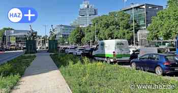 Hannovers Cityring wird grüner: Stadt pflanzt Bäume und Blumen