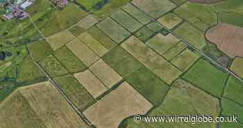 When work could start on new wetlands