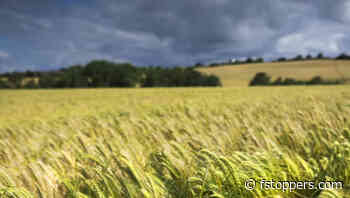 The Creative Power of Aperture Settings