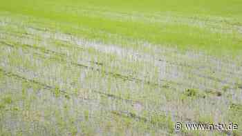 Klimakiller Methan: Treibhausgas könnte zum Rohstoff werden