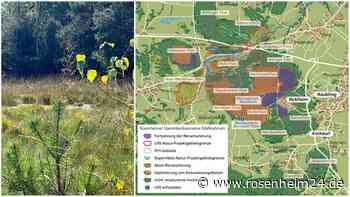 Wiedervernässung der Moore geht weiter: Was in der Hochrunstfilze bei Nicklheim geplant ist