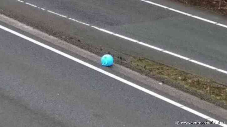 Eigenaar van verlaten voertuig op de N2 heeft er de ballen verstand van