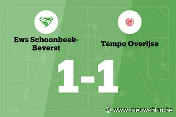 Bogaers redt punt voor EWS Schoonbeek-Beverst tegen Tempo Overijse