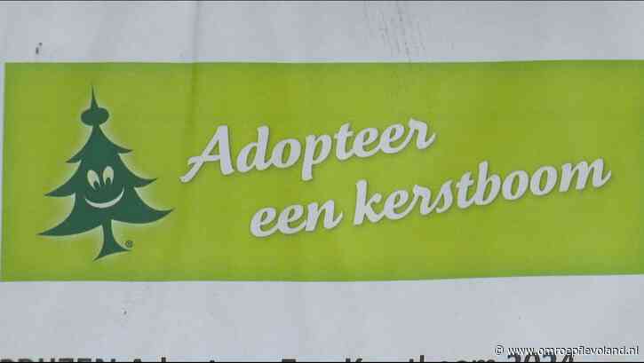 Almere - Adopteer een kerstboom: 'Twee keer zo duur als een reguliere boom, maar het gevoel is zes keer beter'