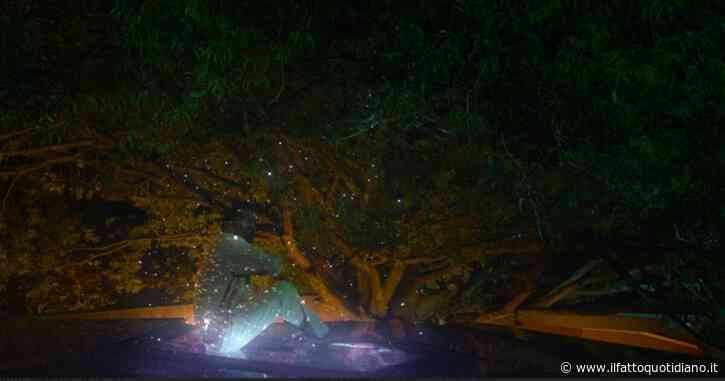 Ennennum, originale fantascienza indiana sull’immortalità al festival River to River di Firenze