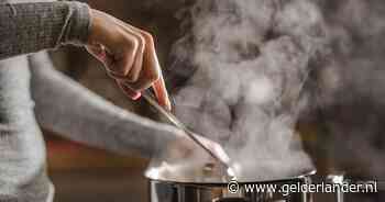 De beste inductiekookplaat met afzuiging doet wat-ie moet doen, maar de prijs is fors