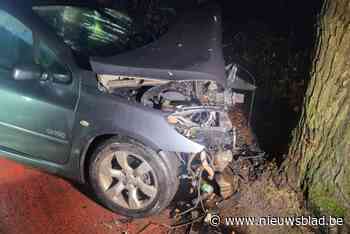 Vrouw (25) zwaargewond bij crash tegen boom, brandweer moet inzittenden uit wrak bevrijden