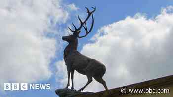 'Beloved' stag statue taken from hotel roof
