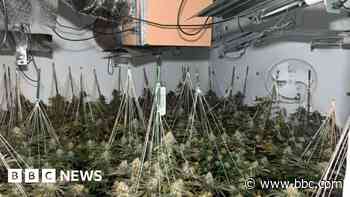 Cash, drugs and fake goods seized in crackdown