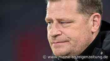 Eberl auf den Spuren von Hoeneß? Der neue Lautsprecher beim FC Bayern