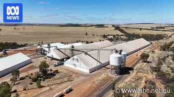 WA co-op CBH's domination of grain exports could be changing