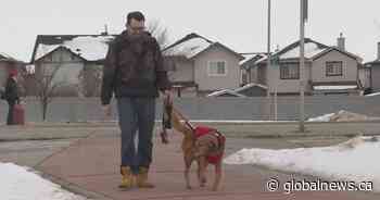 Calgary man wants people to learn service dog rights after issues with transit passengers