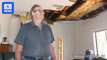 Hundreds still without power after wild storms thrash northern and southern NSW