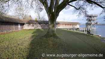 Die Energieversorgung und der Holzwurm beschäftigen die Uttinger