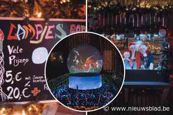 Kerstliefhebber Steven (48) die vorig jaar viraal ging met zijn sneeuwbol pakt dit jaar extra uit met winterbar voor Warmste Week