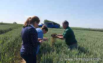 Competition to find soil farmer of the year launches for 2025