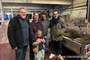Mechelaars bestellen 565 bomen, struiken en hagen via Boom zoekt Grond: “Draagt bij aan een biodiverse stad”