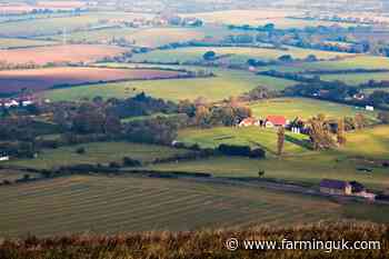 Rural voters starting to abandon Labour amid 'family farm tax'