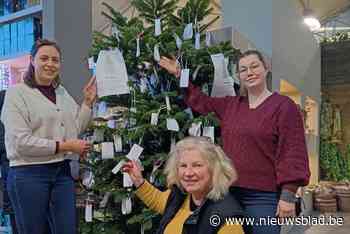 Wensboom in Tuincentrum Robberechts laat kerstwens in vervulling gaan: “Het moet wel een realistische kerstdroom zijn”