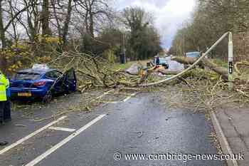 Storm Darragh causes power cuts and fallen trees in Cambridgeshire