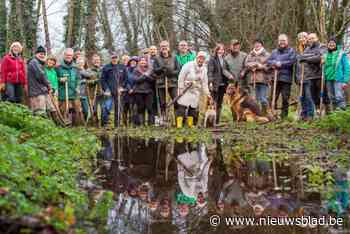 Buurtbewoners en vrijwilligers planten 300 bomen: “Vallei tussen Hoezekouter en E40 inrichten als waterbuffer”
