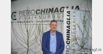 Italiaanse fruitboomkweker ziet hernieuwde interesse in traditionele hard- en steenfruitrassen