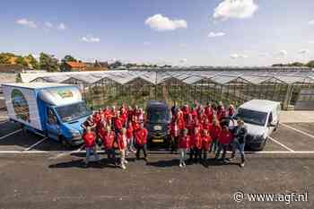 Muziek in de kas zorgt voor een gezellige ambiance tussen de bloemkolen