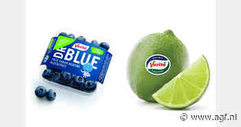 "Opkomende Turkse teelten belemmeren import, maar bieden wel extra afzetkansen buiten het seizoen"