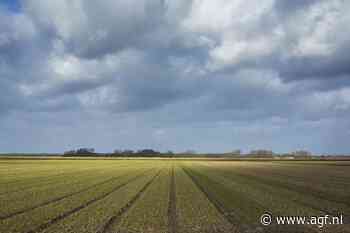 "Prijs van vernieuwing ligt bij primaire sector"