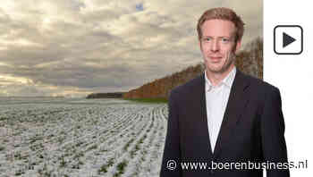 Tarwemarkt krijgt steun uit Zwarte Zeegebied