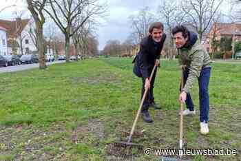 Opiniestuk: “Maai Mei Niet is géén nonsens: elke vierkante meter telt voor de natuur”
