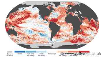 Last month was the second hottest November on RECORD: Global average temperatures hit 14.10°C - and scientists are 'effectively certain' that 2024 is going to be the warmest year ever
