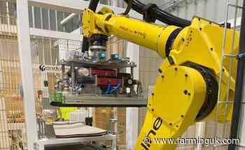 UK egg producer invests £1m in 'game changing' automation