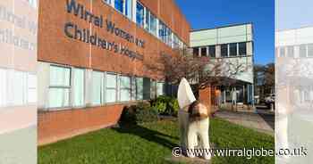 Top ratings for Wirral hospital maternity services in CQC survey