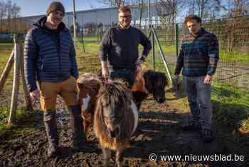 Kinderboerderij wordt binnenkort ‘Winterboerderij’: vuurshows, circusvoorstellingen en teambuilding