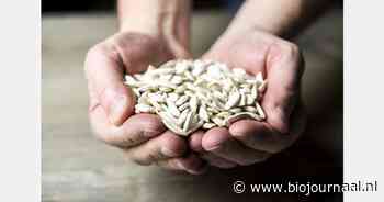 Moestuinzaden van 9% naar 21% btw