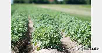 "Betrek hele keten bij invulling landbouwplannen om natuurdoelen te behalen"